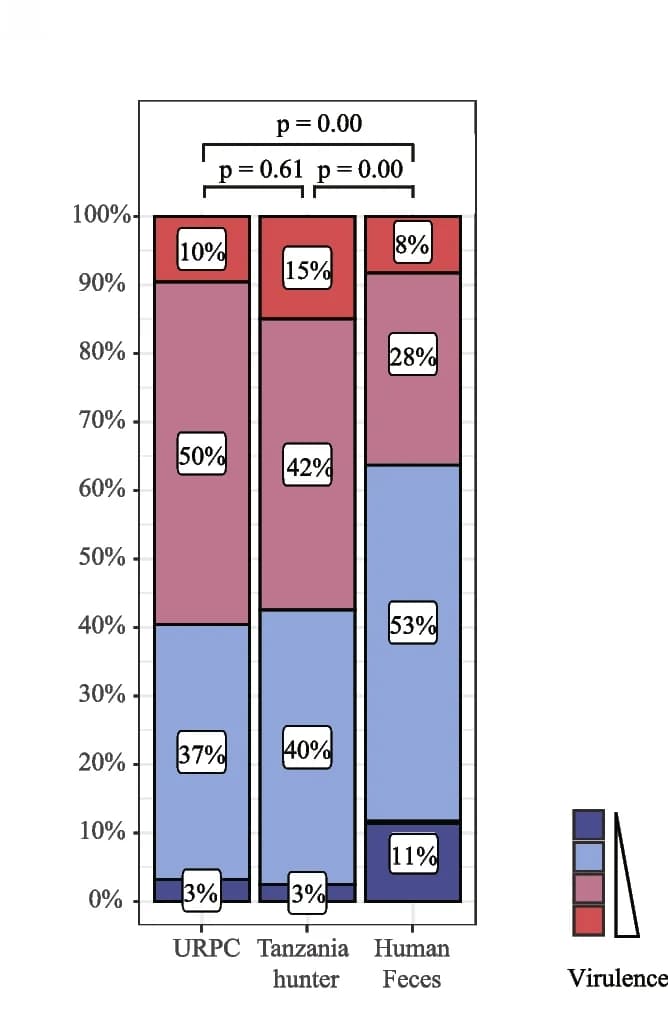 Open access visualization of Stacked Bar Plot, Phage Lifestyle, Ruminants, Tanzania Hunters, Human Gut Virome