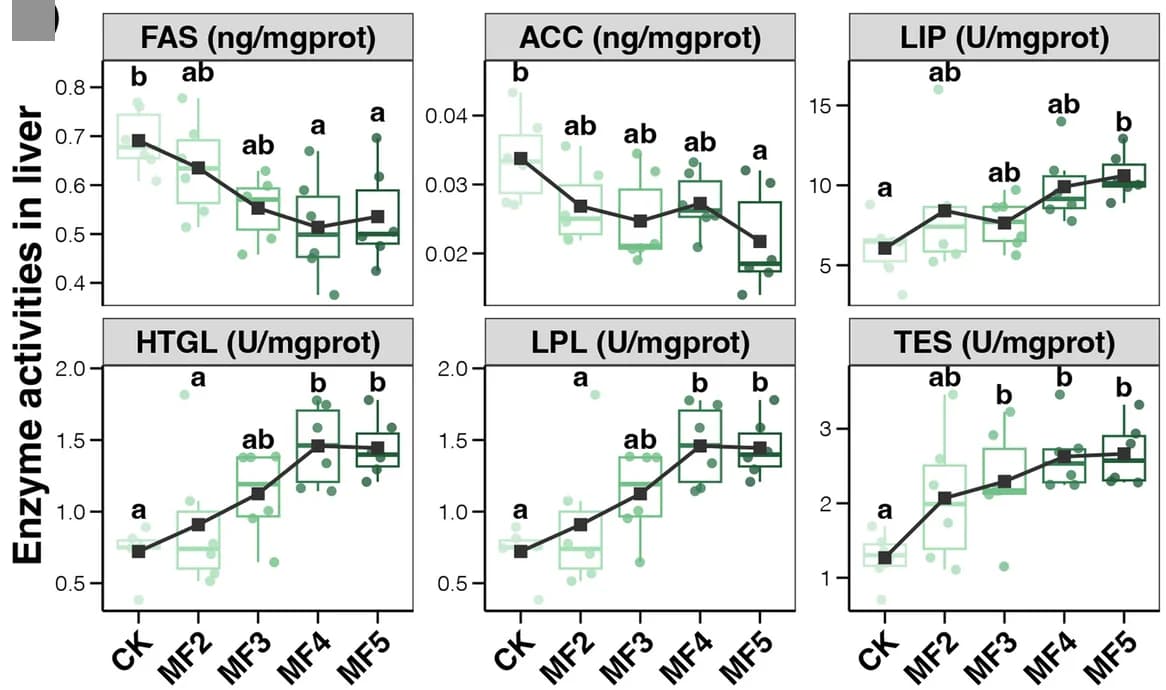 Open access visualization of Box Plot, Scatter Plot, Line Plot, Enzyme Activities, Lipid Metabolism