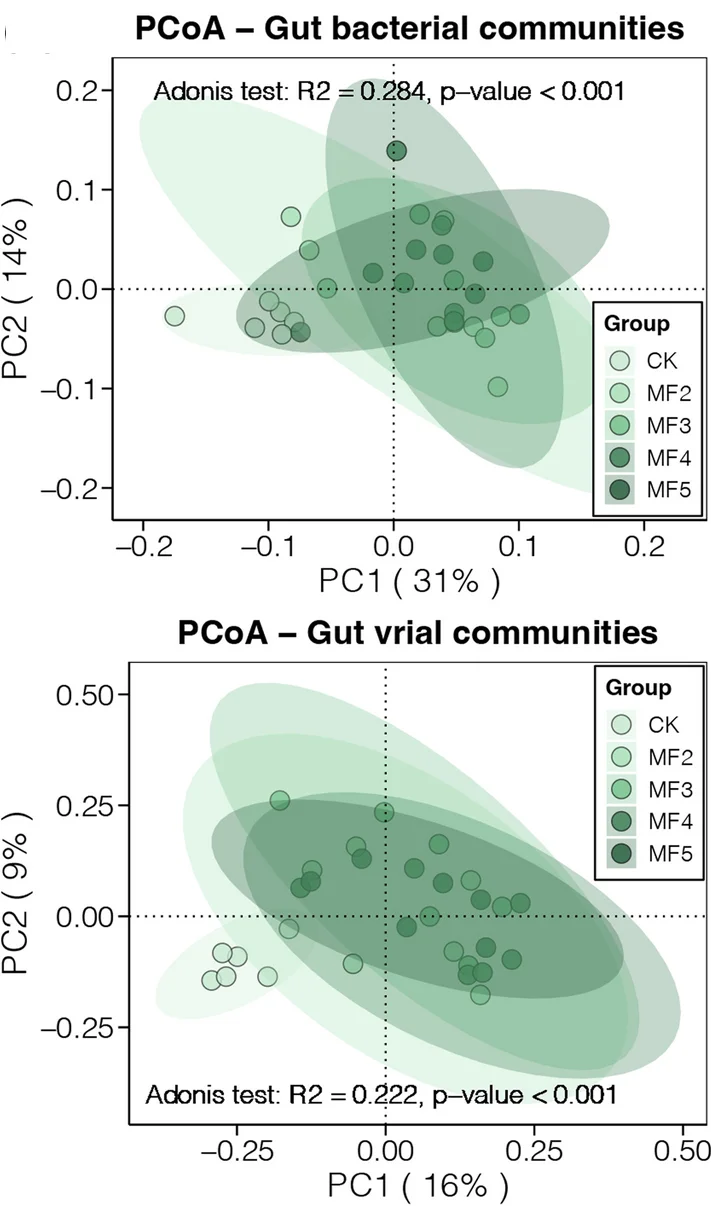 Open access visualization of Scatter Plot, PCA, PCoA, Adonis Test, BrayCurtis Distance