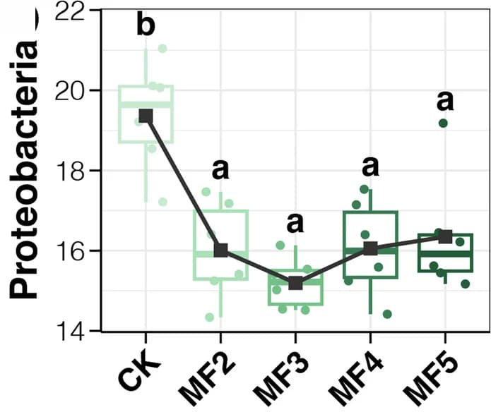 Open access visualization of Box Plot, Scatter Plot, Line Plot, Relative Abundance, Proteobacteria