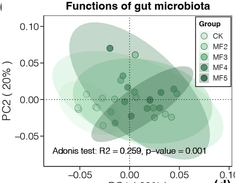 Open access visualization of Scatter Plot, PCA, PCoA, BrayCurtis Distance, Gut Microbial Functions