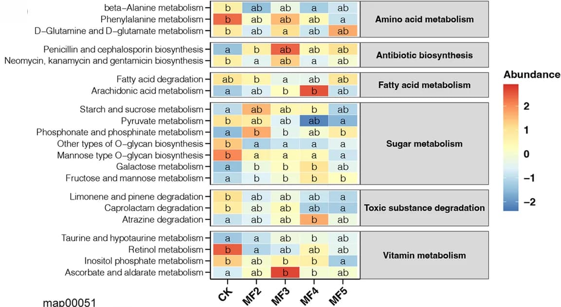 Open access visualization of Heatmap, Gut Microbial Functional Pathways, Laying Hens, Dietary MF, Abundance