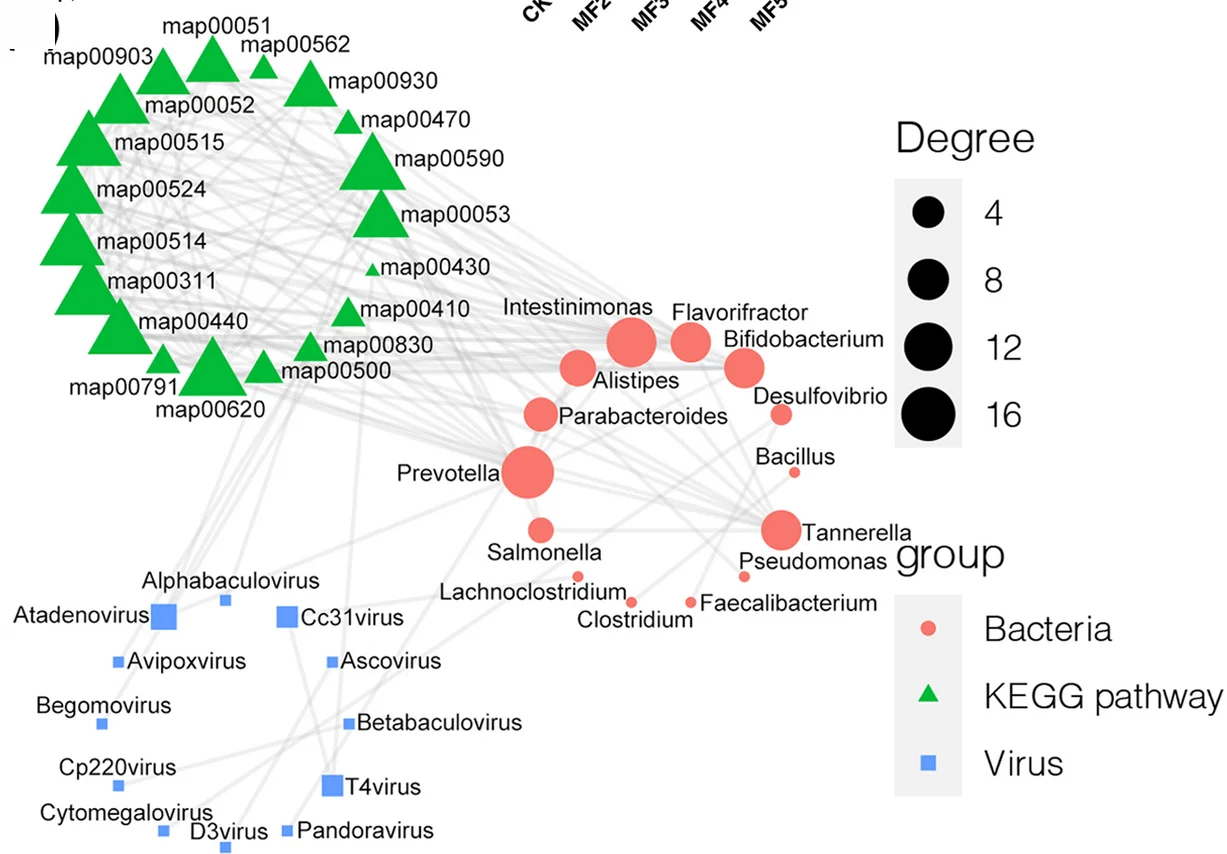 Open access visualization of Network, Pathway, Functional Pathways, Bacterial Genera, Viral Genera