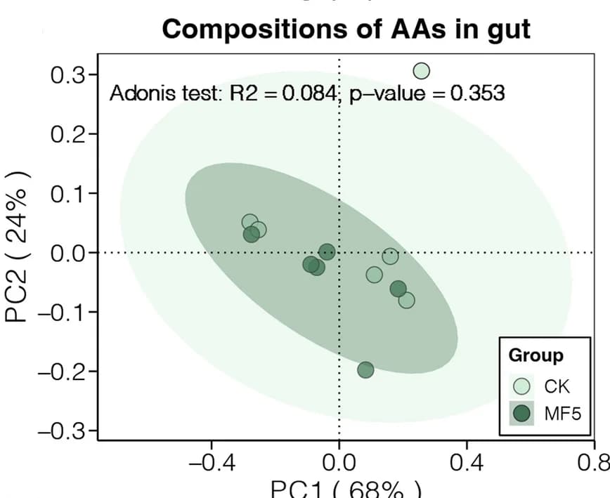 Open access visualization of Scatter Plot, PCA, PCoA, Adonis Test, Bray-Curtis Distance