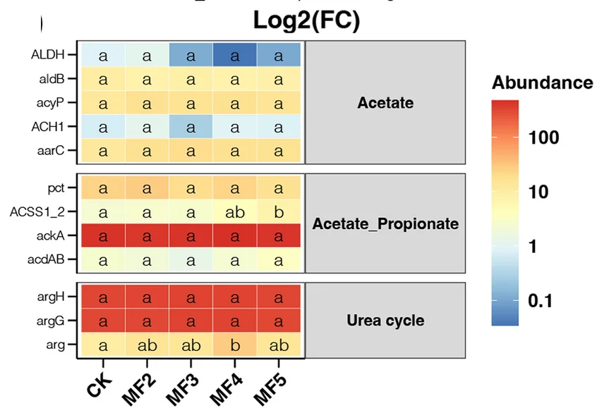 Open access visualization of Heatmap, Gene Abundance, SCFA Biosynthesis, Urea Cycle, Caecum Digesta