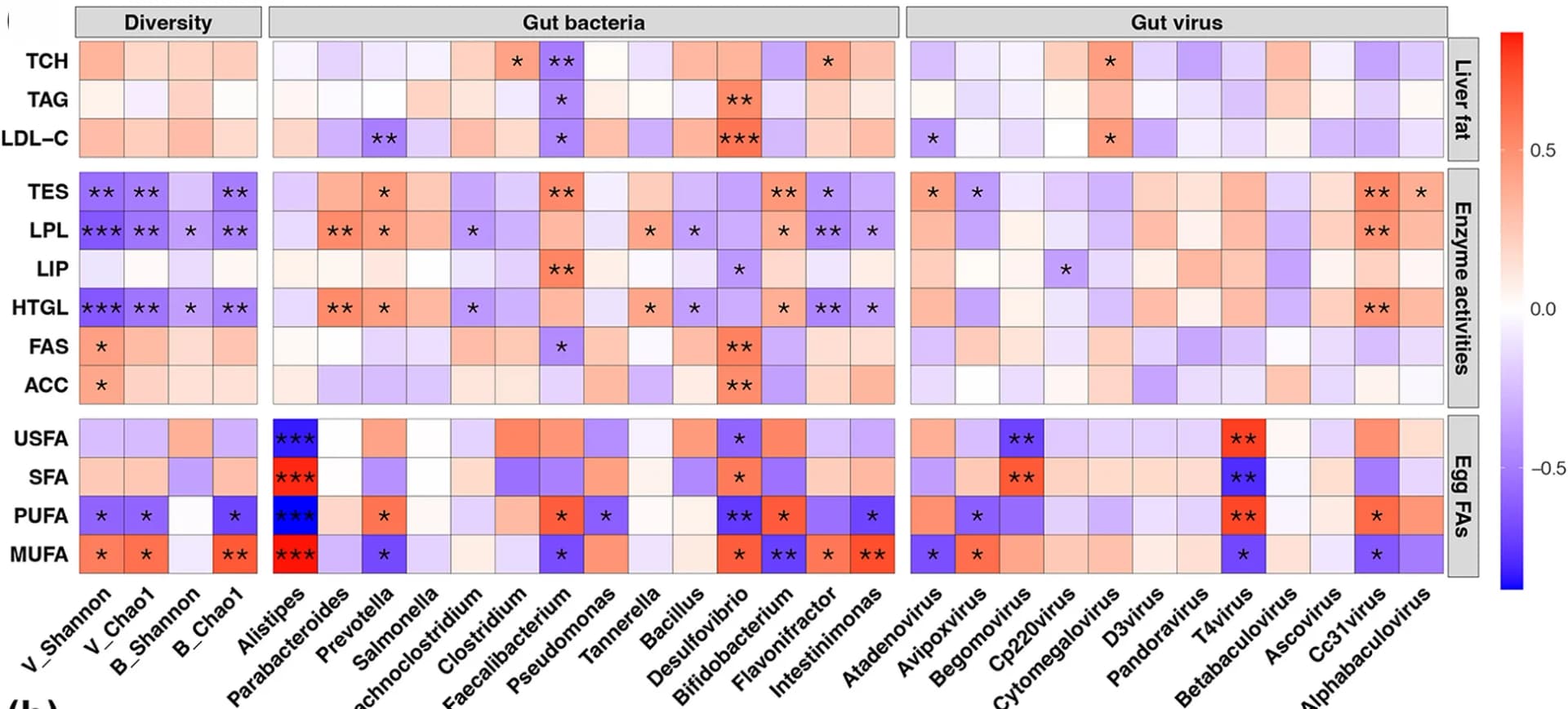 Open access visualization of Heatmap, Gut Microbiota, Lipid Metabolism, Fatty Acid, Egg Yolk