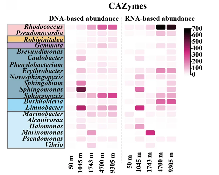 Open access visualization of Heatmap, CAZymes, DNA, RNA, TPM Value