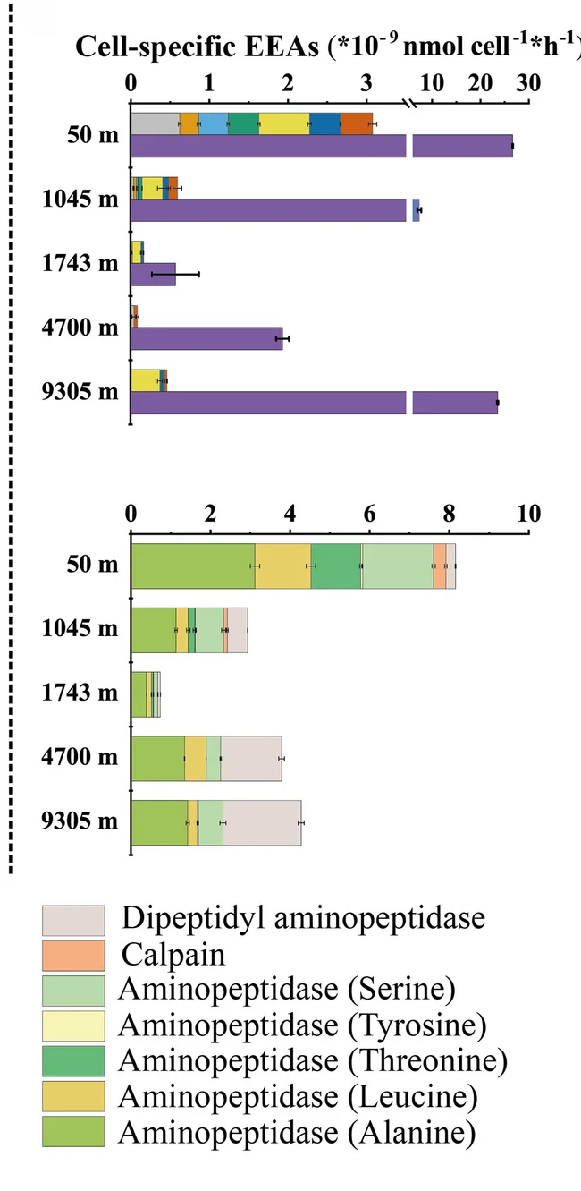 Open access visualization of Bar Plot, Stacked Bar Plot, Error Bars, Depth Profiles, Cell-Specific