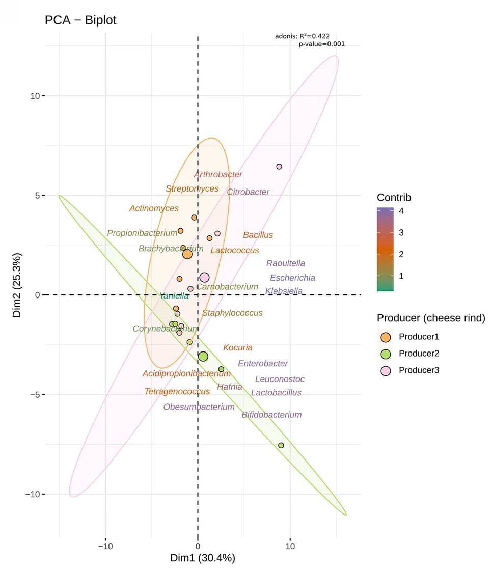 Open access visualization of Scatter Plot, PCA, Principal Component Analysis, Bacterial Genera, Cheese Rind
