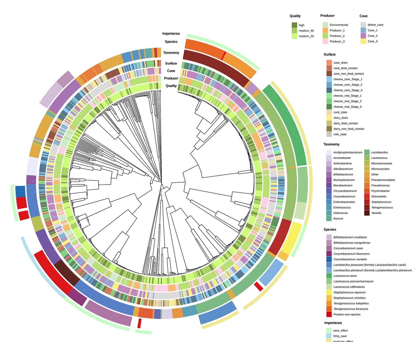 Open access visualization of Network, Chord, Bar Plot, Phylogenetic Tree, Metagenome-Assembled Genomes