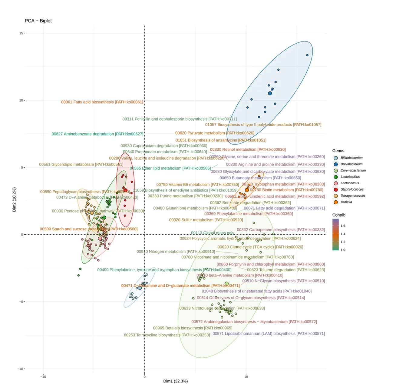 Open access visualization of Scatter Plot, PCA, Biplot, Principal Coordinate Analysis, Metagenome-Assembled Genomes