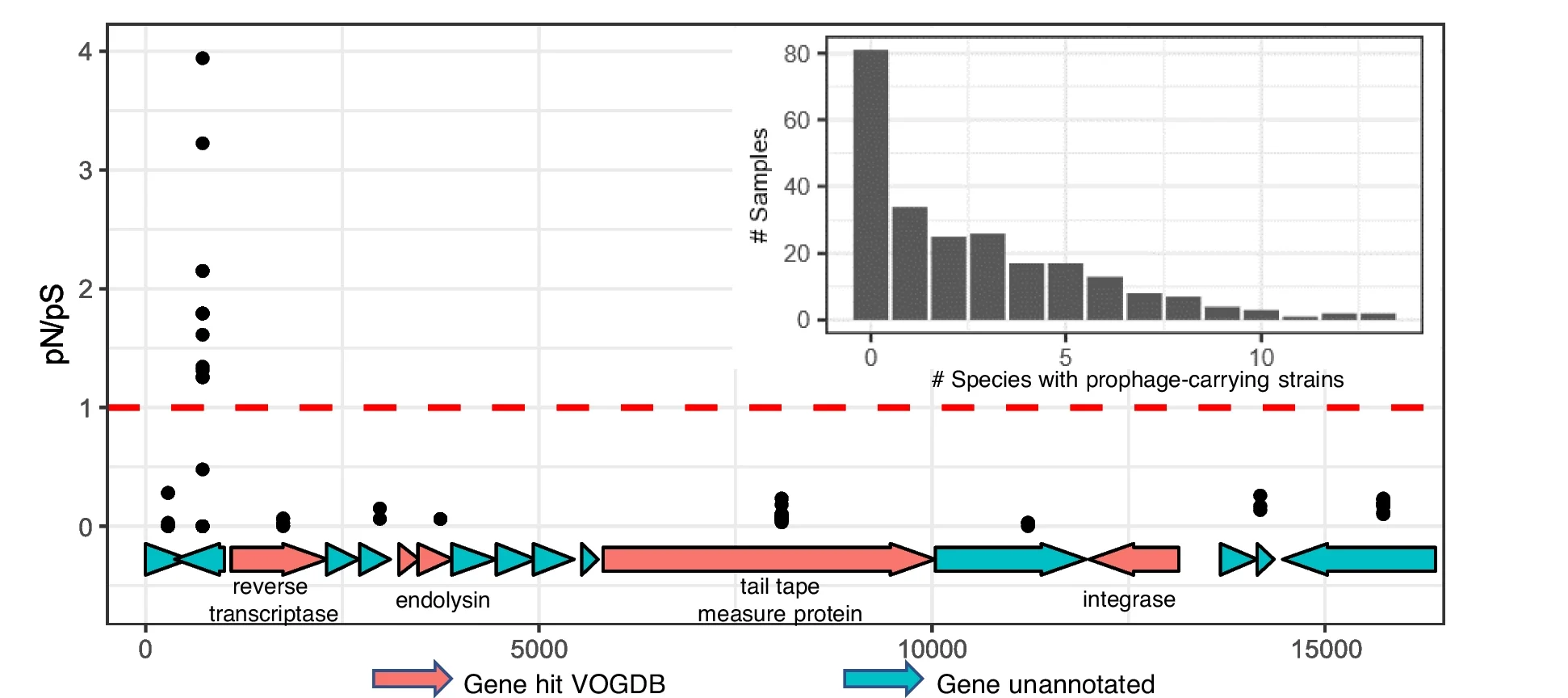 Open access visualization of Scatter Plot, Bar Plot, Histogram, Prophage Gene, Positive Selection