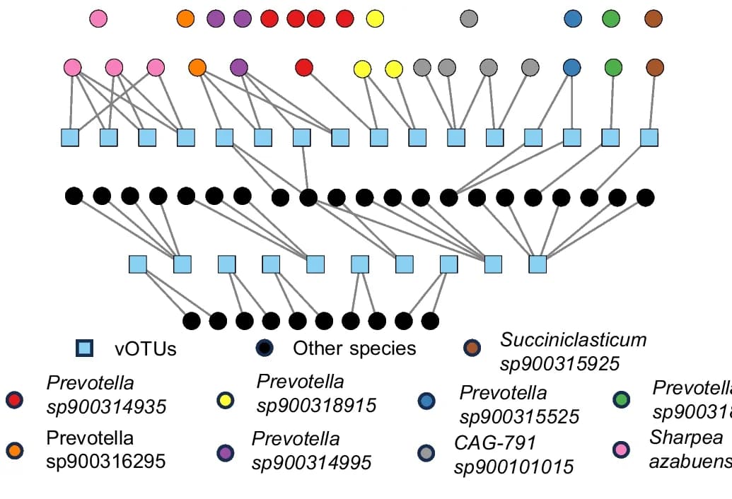 Open access visualization of Sankey, Rumen Viruses, Host Specificity, Microbial Genome, vOTU