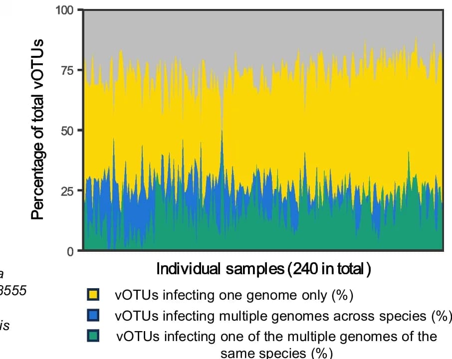 Open access visualization of Stacked Bar Plot, vOTU, Rumen Viruses, Bacteria, Genome