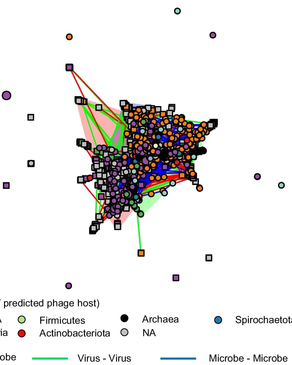 Open access visualization of Network, Pathway, Microbe-Virus Network, Viral Nodes, Predicted Hosts