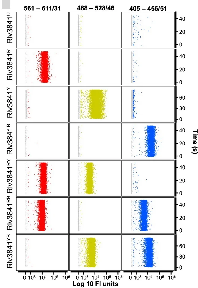 Open access visualization of Scatter Plot, Flow Cytometry Graphs, Fluorescence Intensity, mCherry Expression, sYFP2 Expression