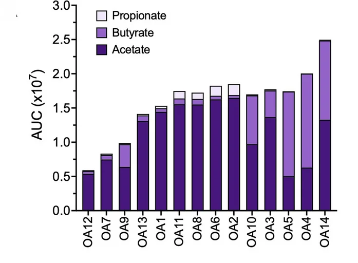 Open access visualization of Stacked Bar Plot, Short-Chain Fatty Acid, Bacterial Culture, Mass Spectrometry