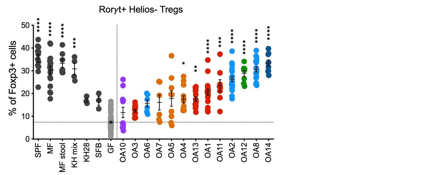 Open access visualization of Scatter Plot, Error Bars, Frequencies, Rort+ Helios- Cells, Foxp3+ Tregs