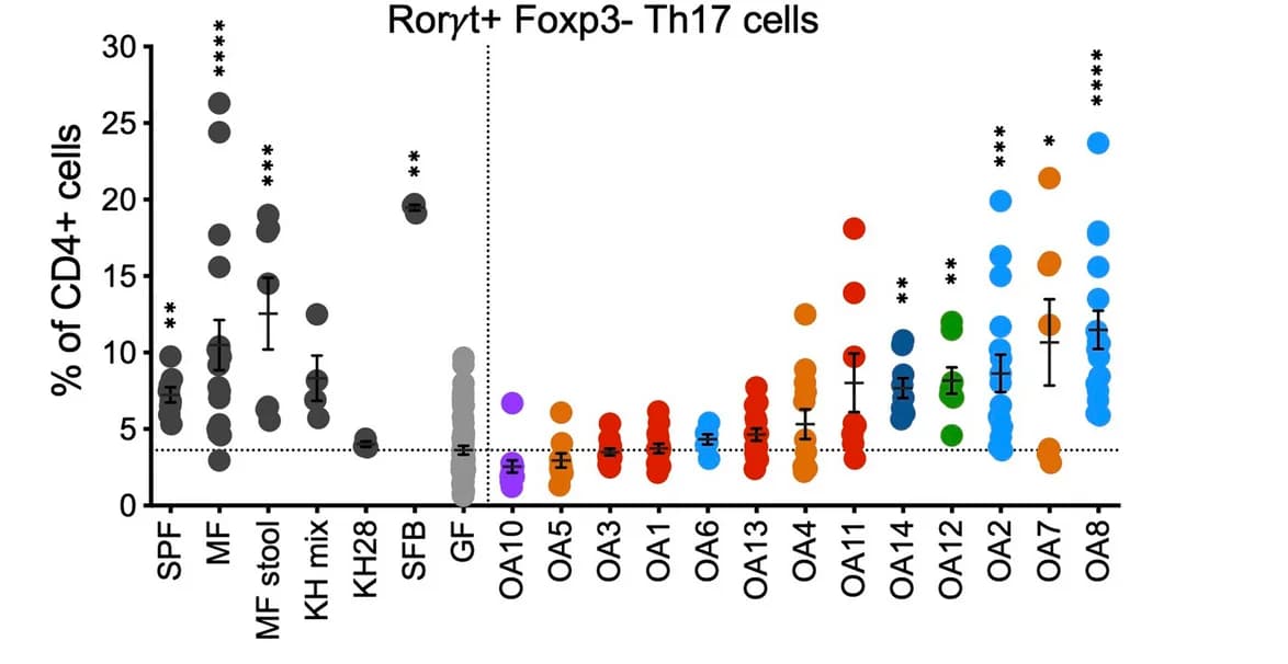 Open access visualization of Scatter Plot, Error Bars, Th17 Cells, CD4+ T Cells, Specific Pathogen-Free
