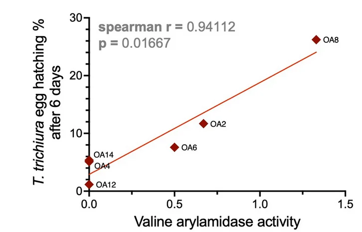 Open access visualization of Scatter Plot, Regression Plot, Valine Arylamidase Activity, OA Isolates, Trichuris trichiura Egg Hatching Rate