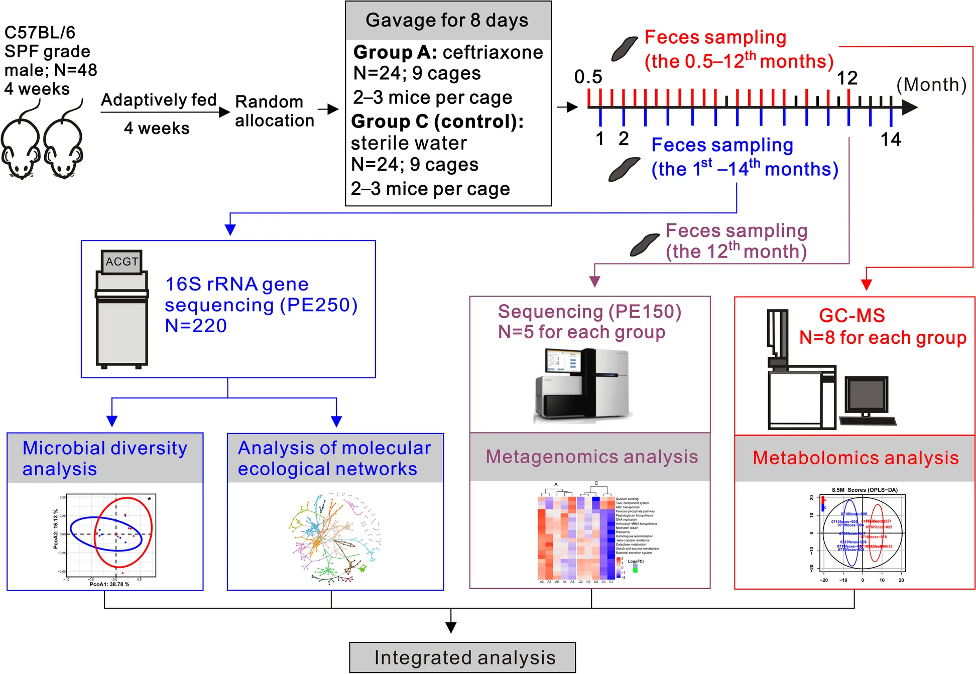 Open access visualization of Workflow, Flowchart, Scatter Plot, Heatmap, Network