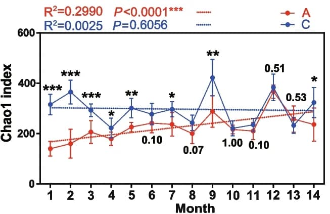 Open access visualization of Line Plot, Error Bars, Chao1 Index, Alpha Diversity, Antibiotic Group