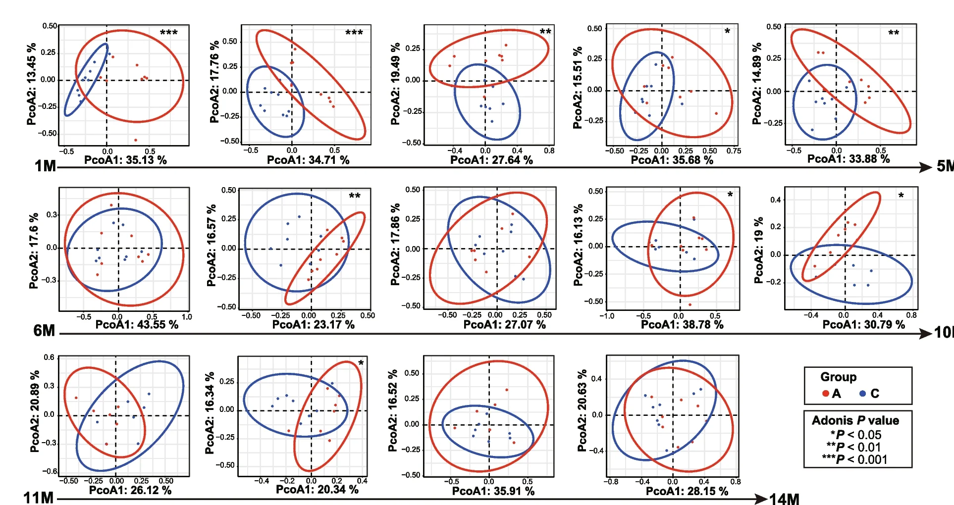 Open access visualization of Scatter Plot, PCA, PCoA Analysis, Beta Diversity, Bray-Curtis Distance