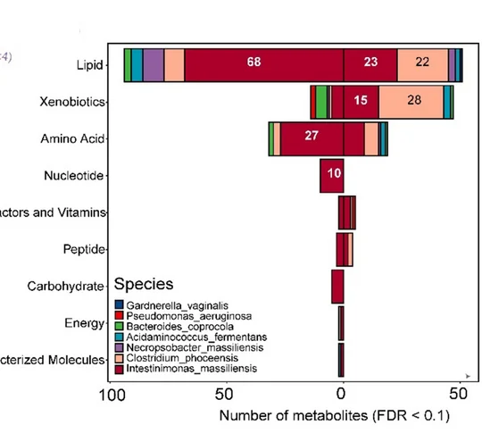 Open access visualization of Bar Plot, Stacked Bar Plot, Bacterial species, Metabolites, Super pathway