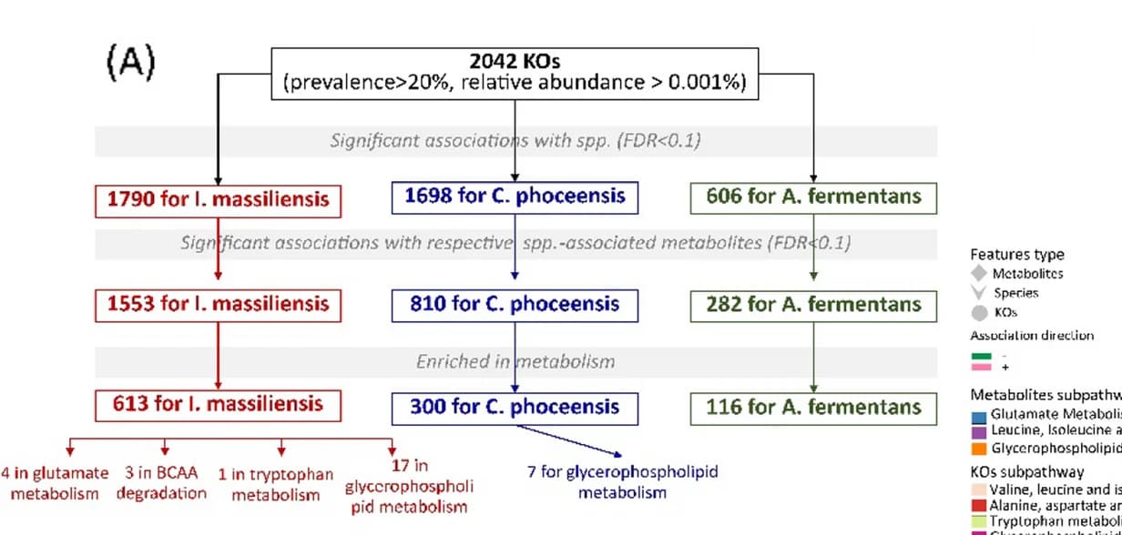 Open access visualization of Workflow, Flowchart, LVDD, Species, Metabolites