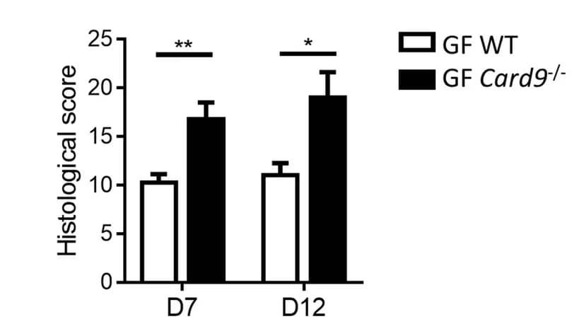 Open access visualization of Bar Plot, Error Bars, Clustered, Histological Score, Colon Sections
