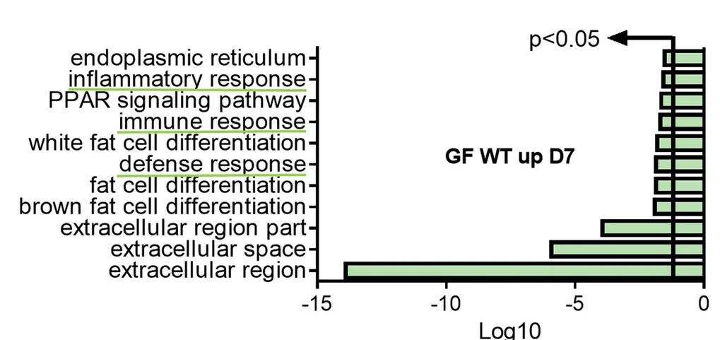Open access visualization of Bar Plot, Gene Ontology Analysis, Microarray Data, Host Defense, Immune Response