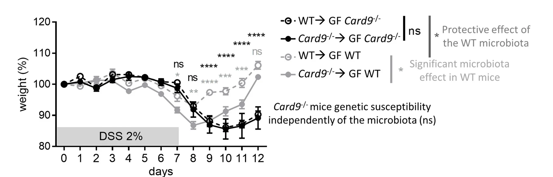 Open access visualization of Line Plot, Error Bars, DSS-exposed, GF Card9 -/- Mice, GF WT Mice
