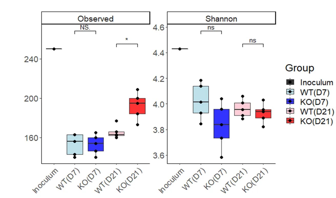 Open access visualization of Box Plot, Scatter Plot, Alpha-Diversity Analysis, ASVs, Shannon Index