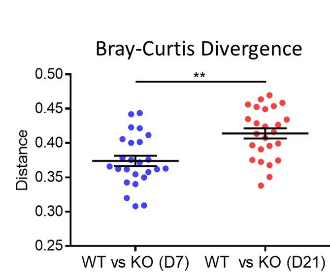 Open access visualization of Scatter Plot, Error Bars, Pairwise Distance, Bray-Curtis Divergence, Fecal Microbiota
