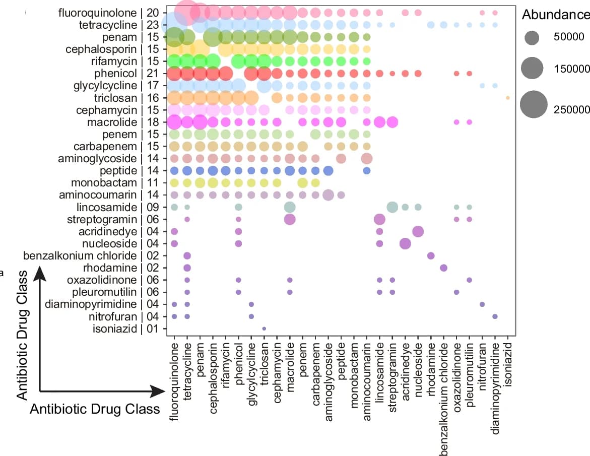 Open access visualization of Bubble Plot, Bubble Chart, Drug Classes, MDR ARGs, Resistance