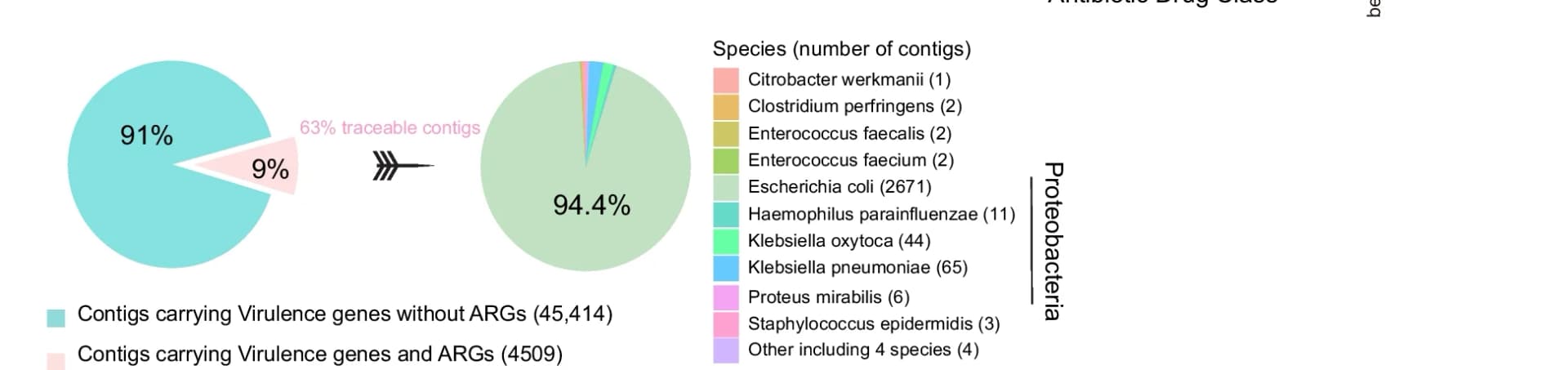 Open access visualization of Pie Chart, Contigs, ARGs, VGs, Taxonomic Origin