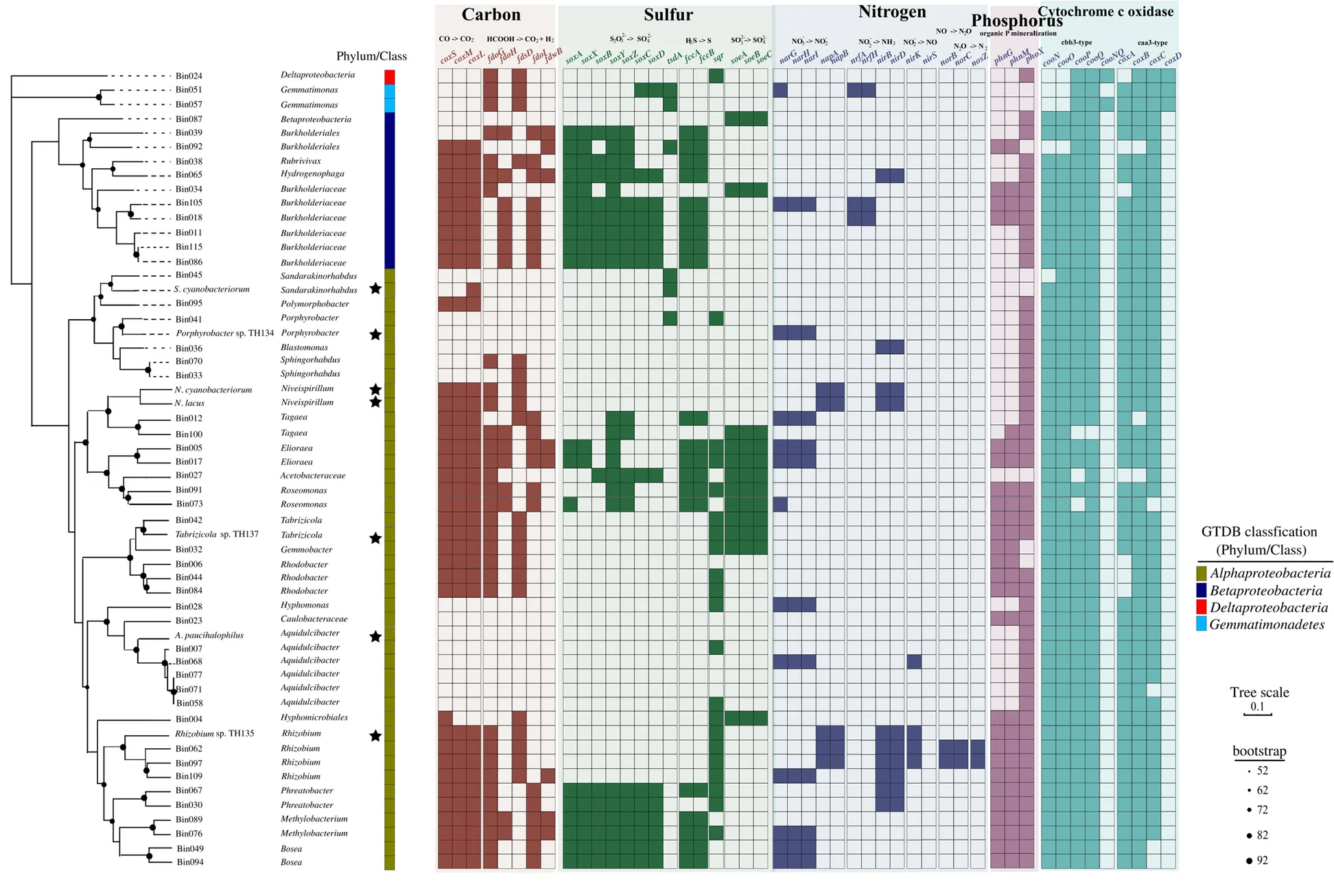 Open access visualization of Heatmap, Network, MAGs, Metagenomes, Phylogenetic Trees