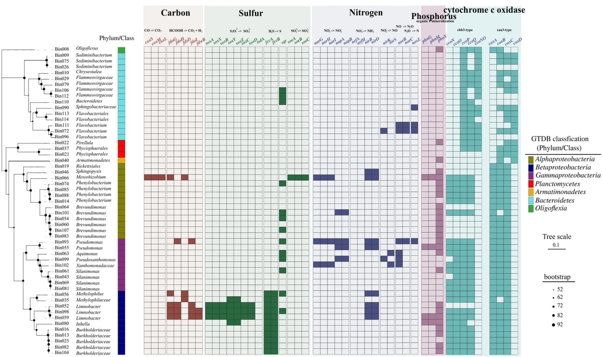 Open access visualization of Heatmap, Network, MAGs, Metagenomes, Phylogenetic Trees