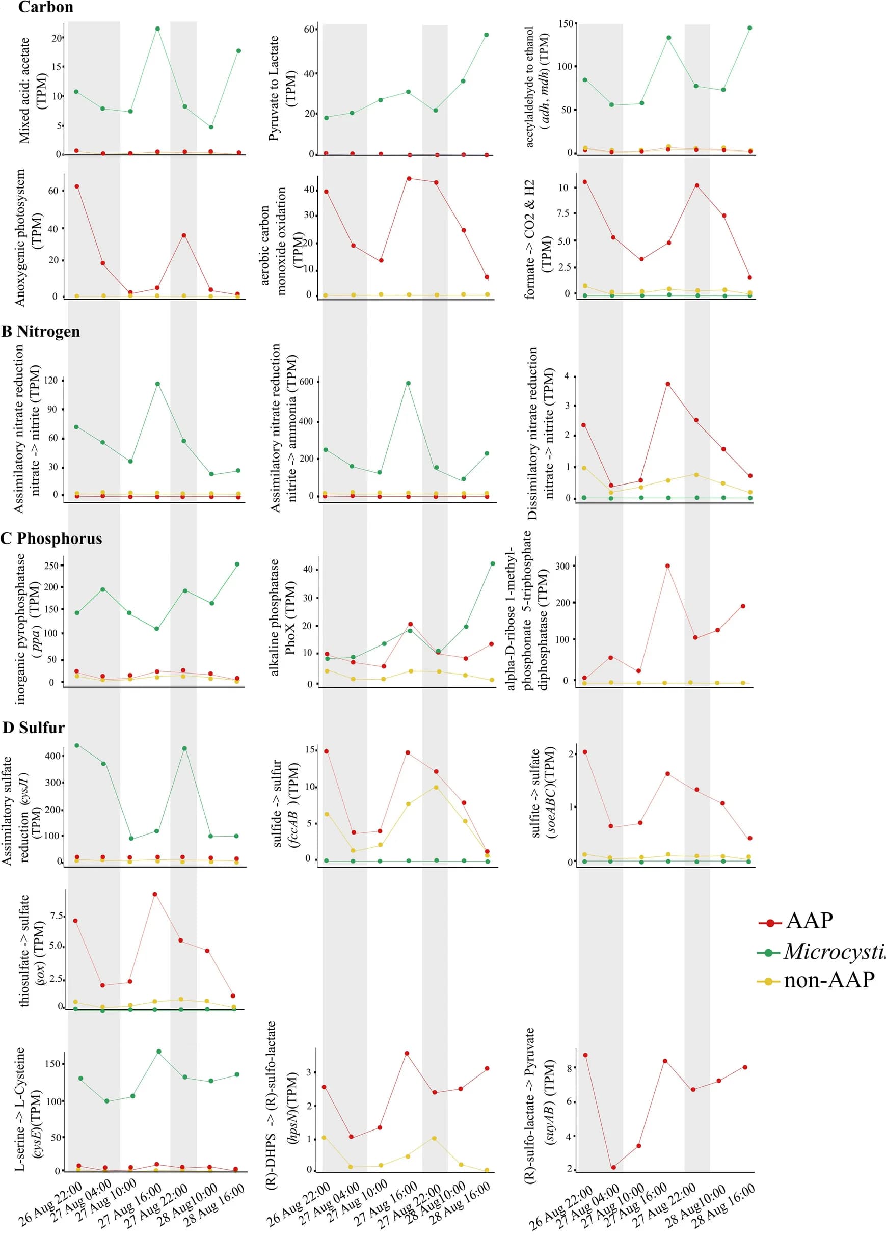 Open access visualization of Line Plot, Carbon, Microcystis, AAP, Non-AAP