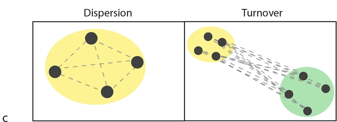 Open access visualization of Network, Multivariate Dissimilarity, Ordinations, Variability, Dispersion