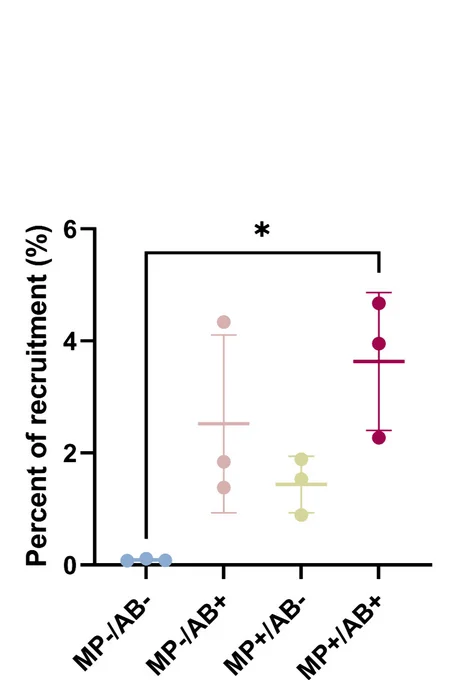Open access visualization of Scatter Plot, Error Bars, MAGs, Hybrid Co-Assembly, Relative Abundance