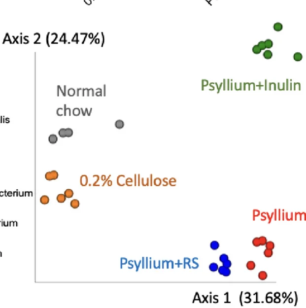 Open access visualization of Scatter Plot, PCA, Fecal Microbiotas, BrayCurtis Dissimilarity, Principal Coordinate Analysis