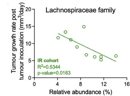 Open access visualization of Scatter Plot, Regression Plot, Lachnospiraceae Family, Relative Abundance, Tumour Growth