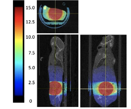Open access visualization of Microscopy, Normal Tissue Toxicity, C57BL/6 Mice, SARRP IR, Fiber Diets