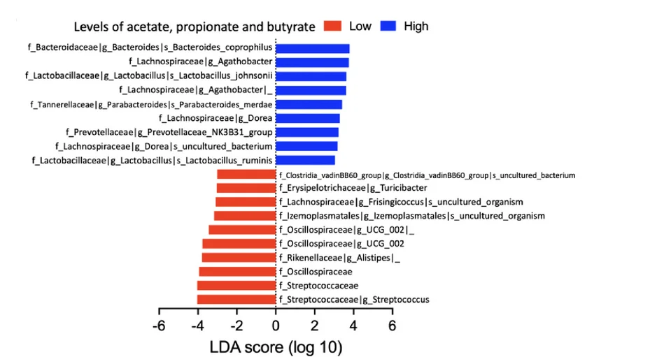 Open access visualization of Bar Plot, Linear Discriminant Analysis, LDA, Taxa, Acetate