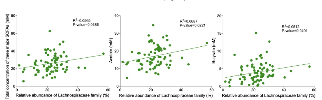 Open access visualization of Scatter Plot, Regression Plot, Lachnospiraceae, SCFAs, Acetate