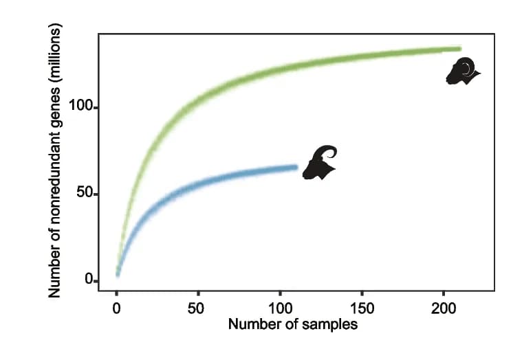 Open access visualization of Line Plot, NR Genes, Sample Size, Cumulative Curve
