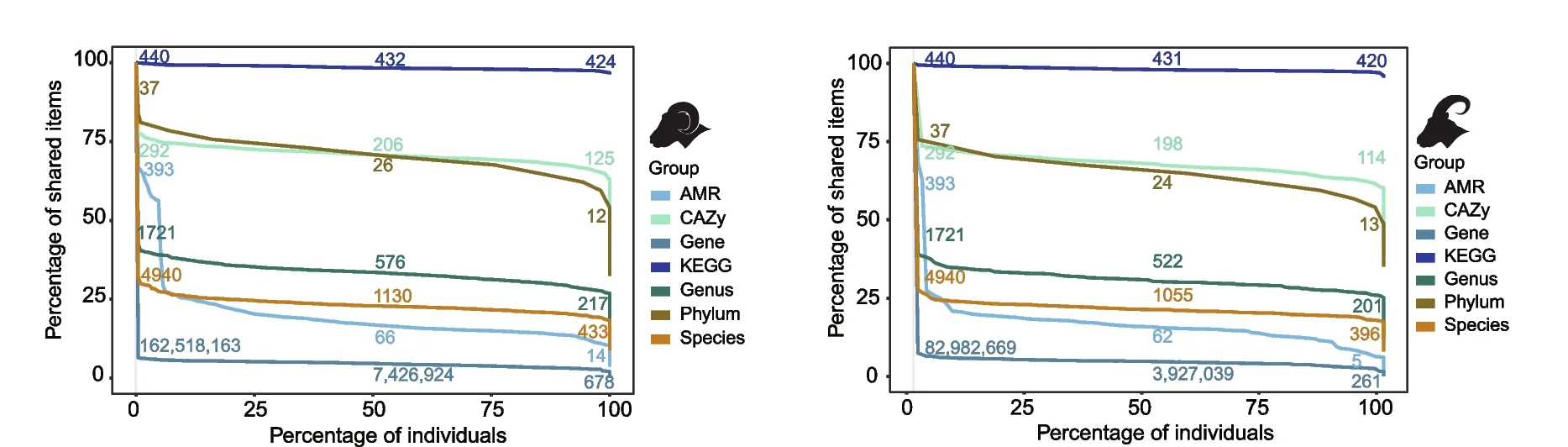 Open access visualization of Line Plot, Bacterial Taxonomy, Functional Items, Phylum, Genus