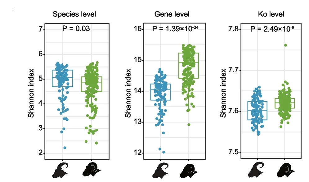 Open access visualization of Box Plot, Scatter Plot, Alpha-Diversity, Species, Genes