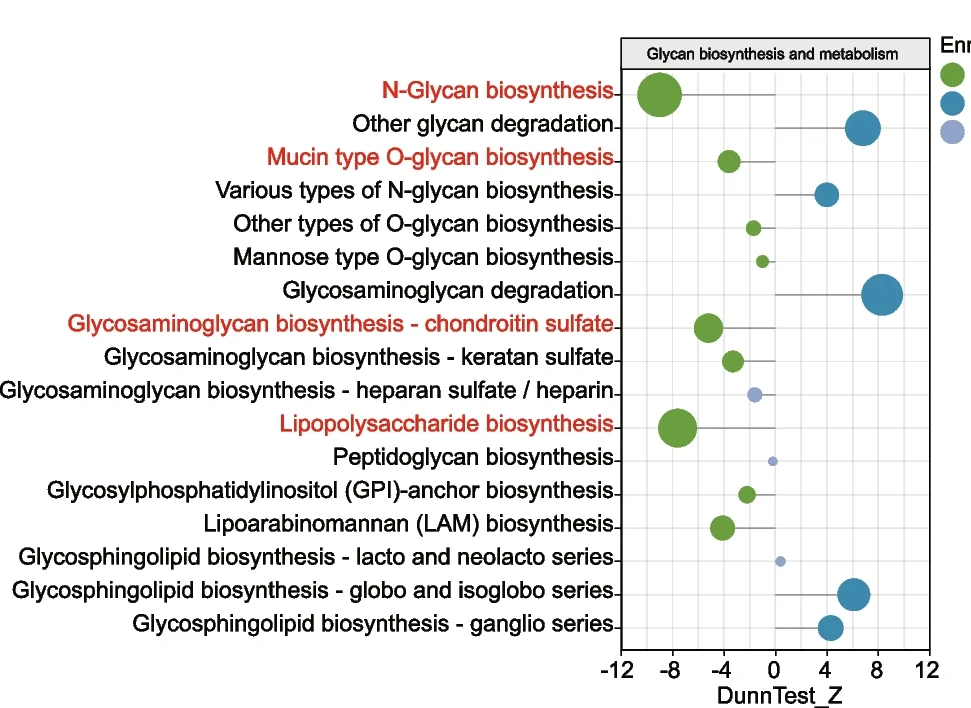 Open access visualization of Bubble Plot, Scatter Plot, Metabolic Pathways, Glycan Biosynthesis, KEGG Analysis